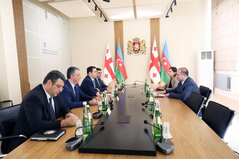 GÜRCÜSTANDA “GÜRCÜSTAN-AZƏRBAYCAN GƏNCLƏR DÜŞƏRGƏSİ”NƏ START VERİLİB