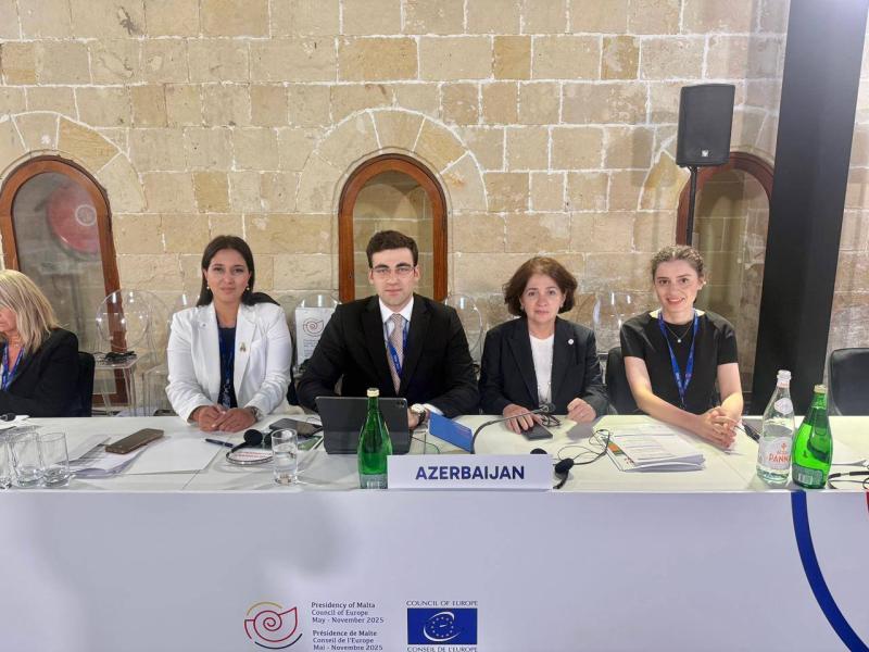 Maltanın paytaxtı Valletta şəhərində keçirilən Gənclər üzrə məsul nazirlərin Avropa Şurasının 10-cu Konfransında ölkəmizi gənclər və idman nazirinin müavini İndira Hacıyevanın rəhbərlik etdiyi nümayəndə heyəti təmsil edib.