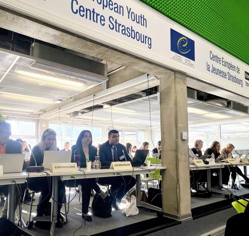 Avropa Şurasının Gənclərlə iş üzrə İdarəetmə Komitəsinin (CDEJ) və Gənclərlə iş üzrə Birgə Şuranın növbəti iclasında Azərbaycan nümayəndə heyəti iştirak edib